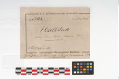 Etikett zu Fell (NHMW-PRAE-003502)